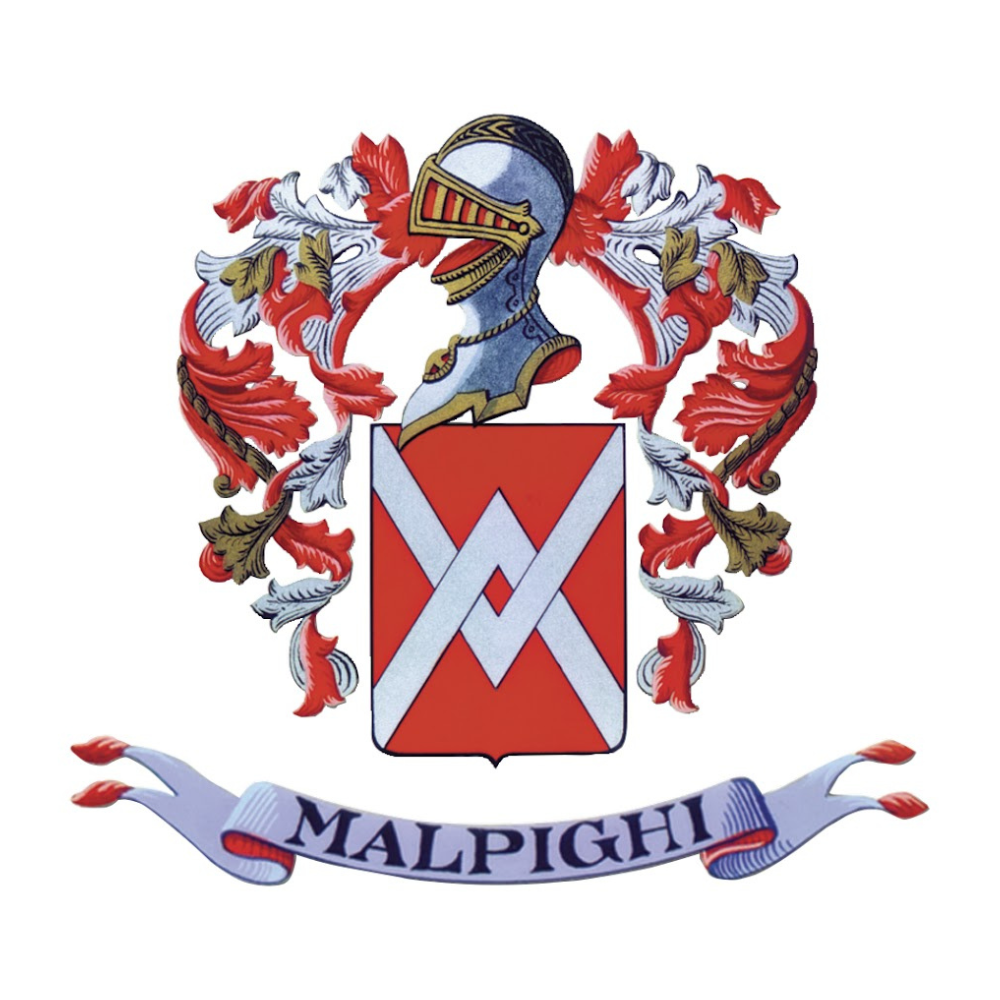 Malpighi coat of arms: a silver helmet and red decorations symbolise the tradition and passion of the Italian company.